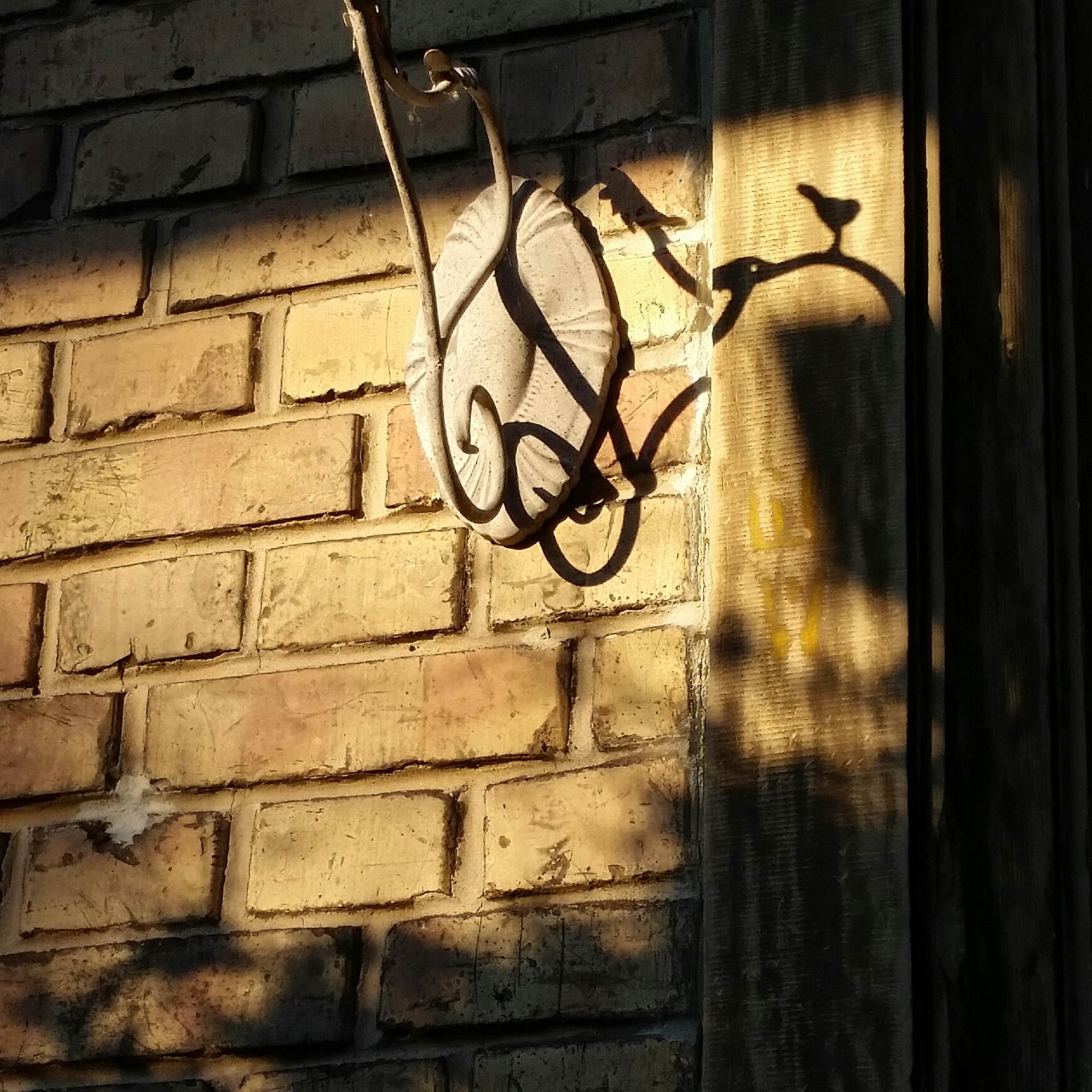 placeholder image-sq