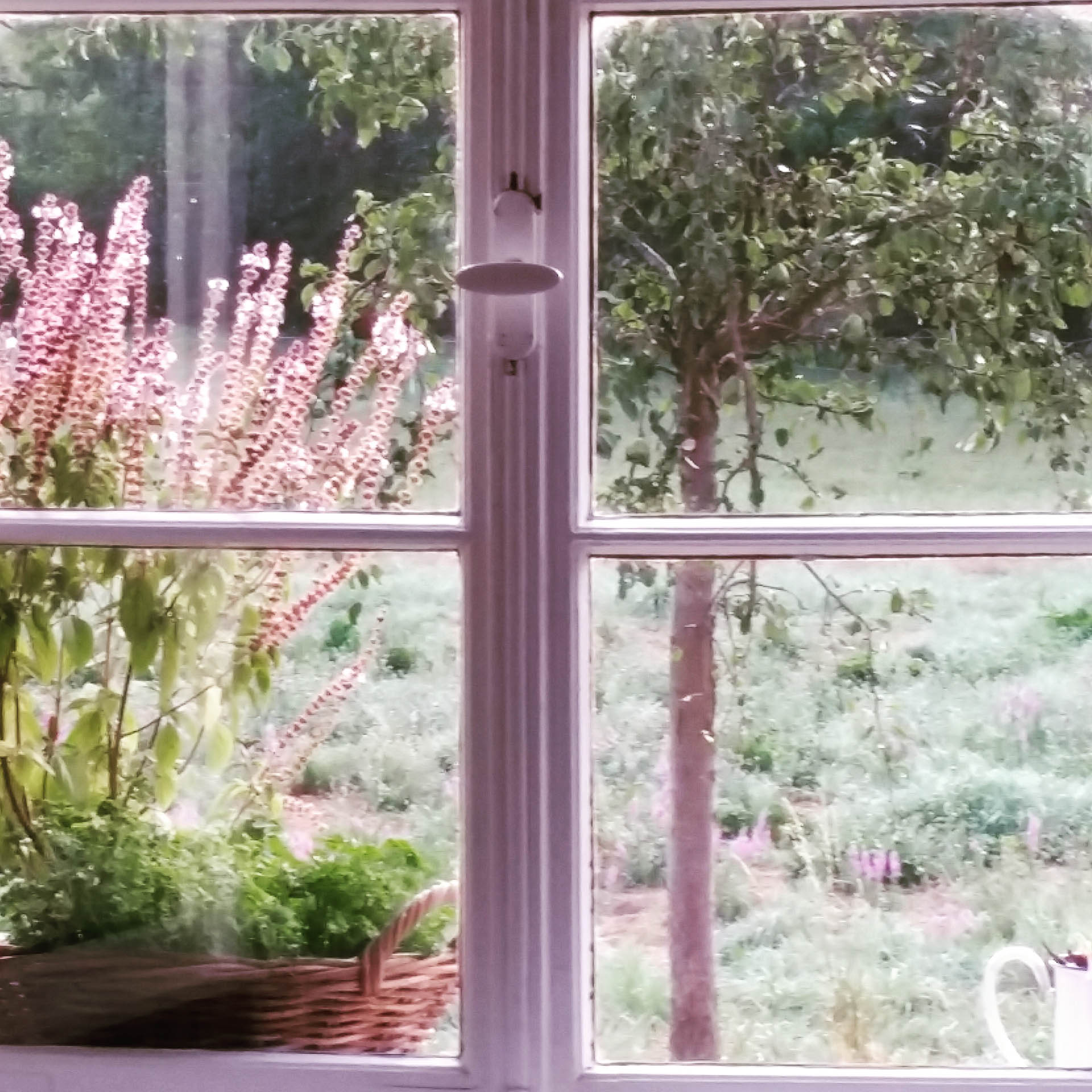 placeholder image-sq